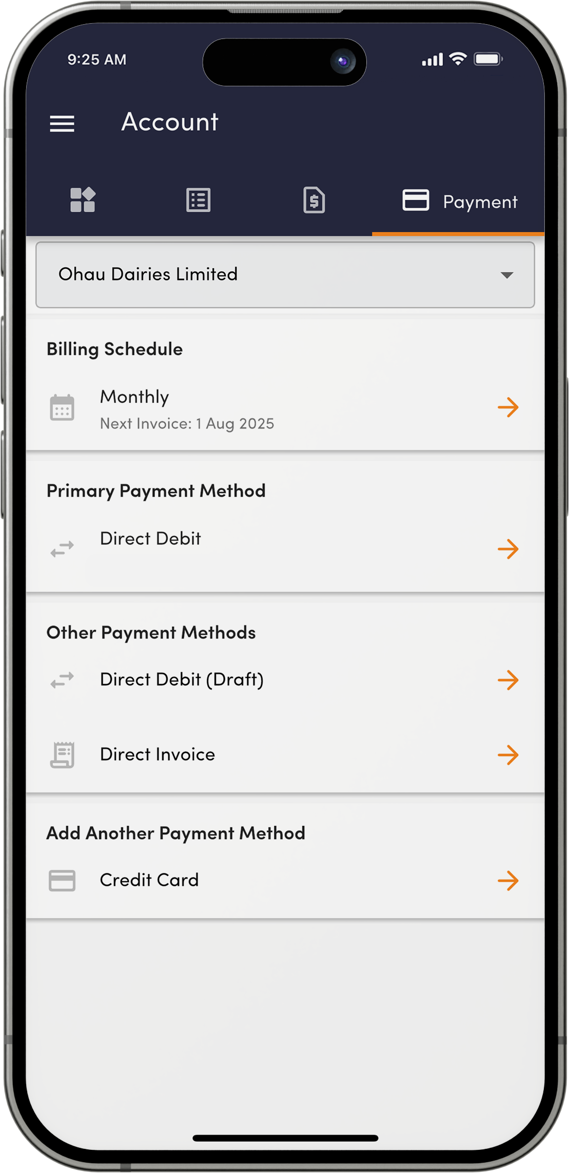 4_Account Payment.png